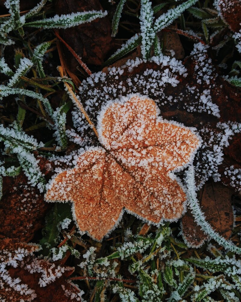 Photograph by Анна Власова