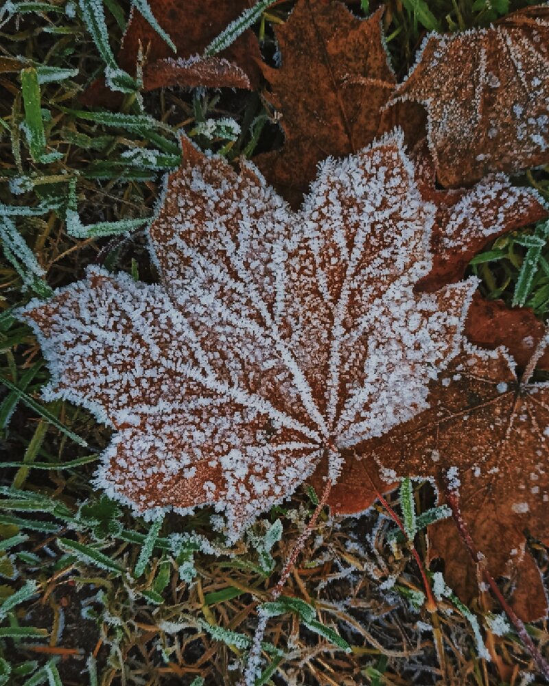 Photograph by Анна Власова