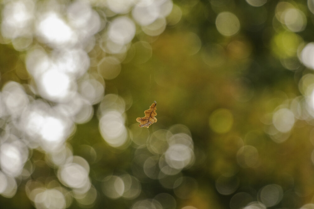 Photograph by Илья Кулаков