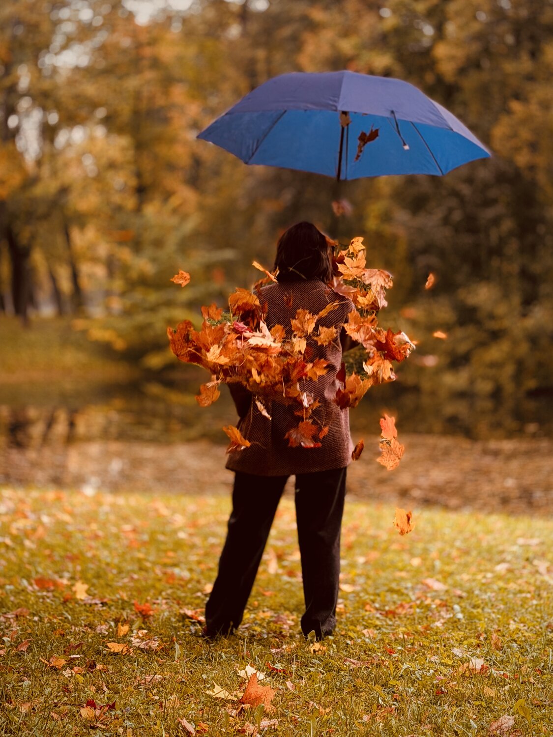 Photo #14142392