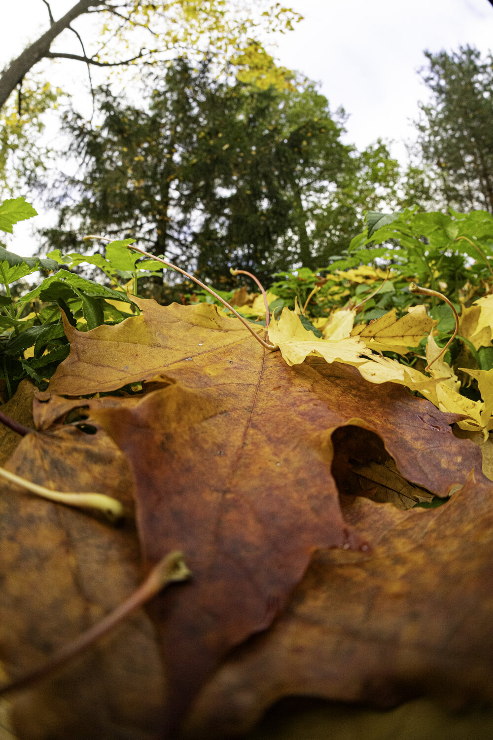 Photo #14142471