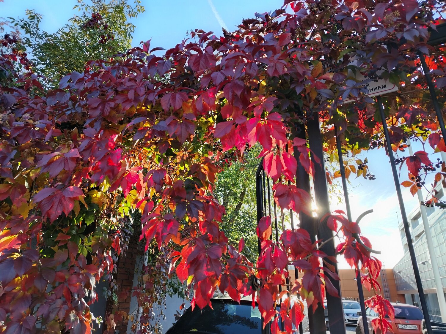 Photo #14142565