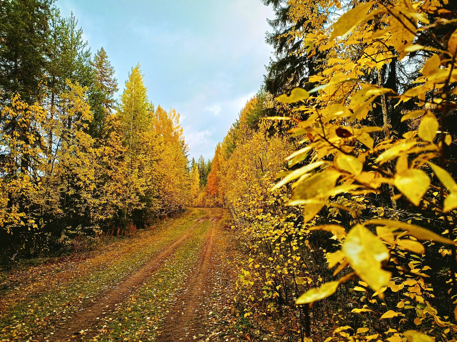 Photo #14142571