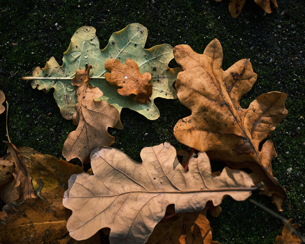 Photograph by Леонид Якутин