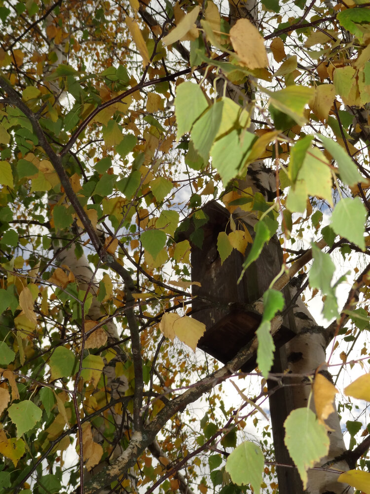Photo #14142845