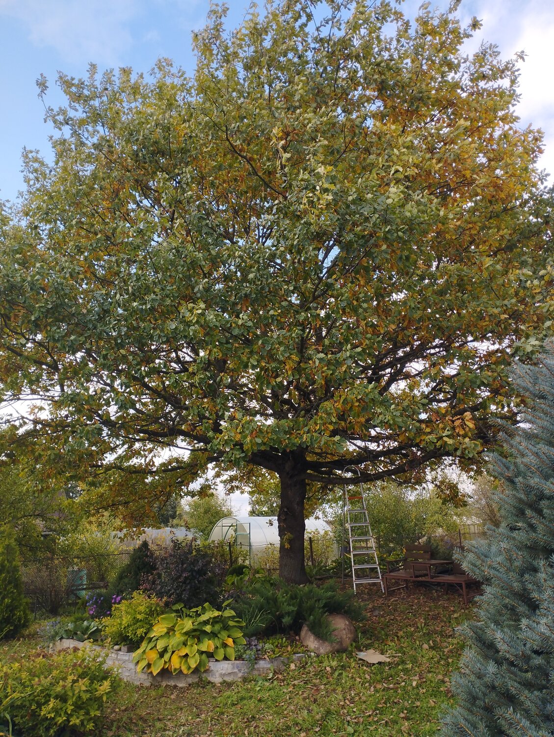 Photo #14143175