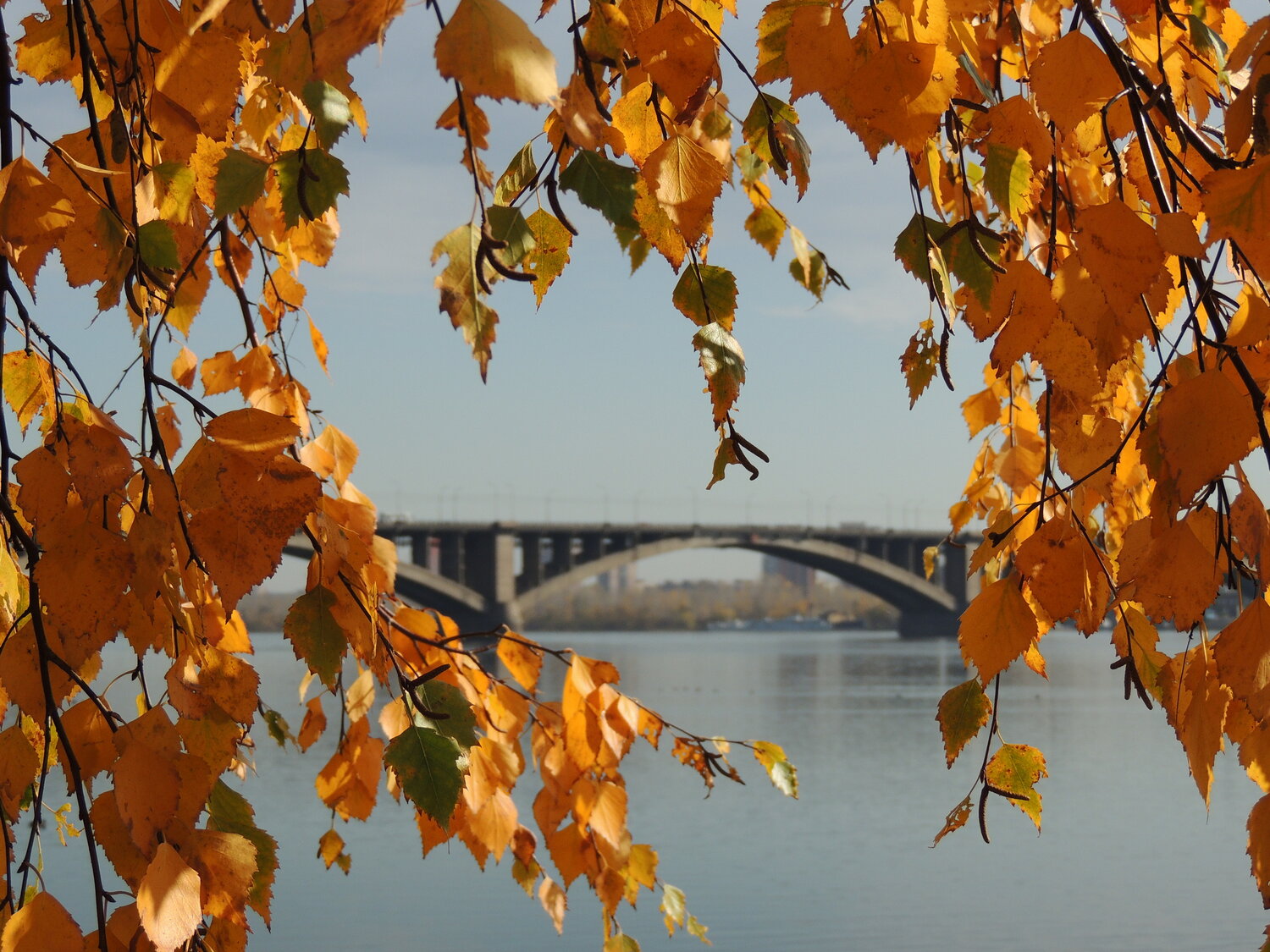 Photo #14143271