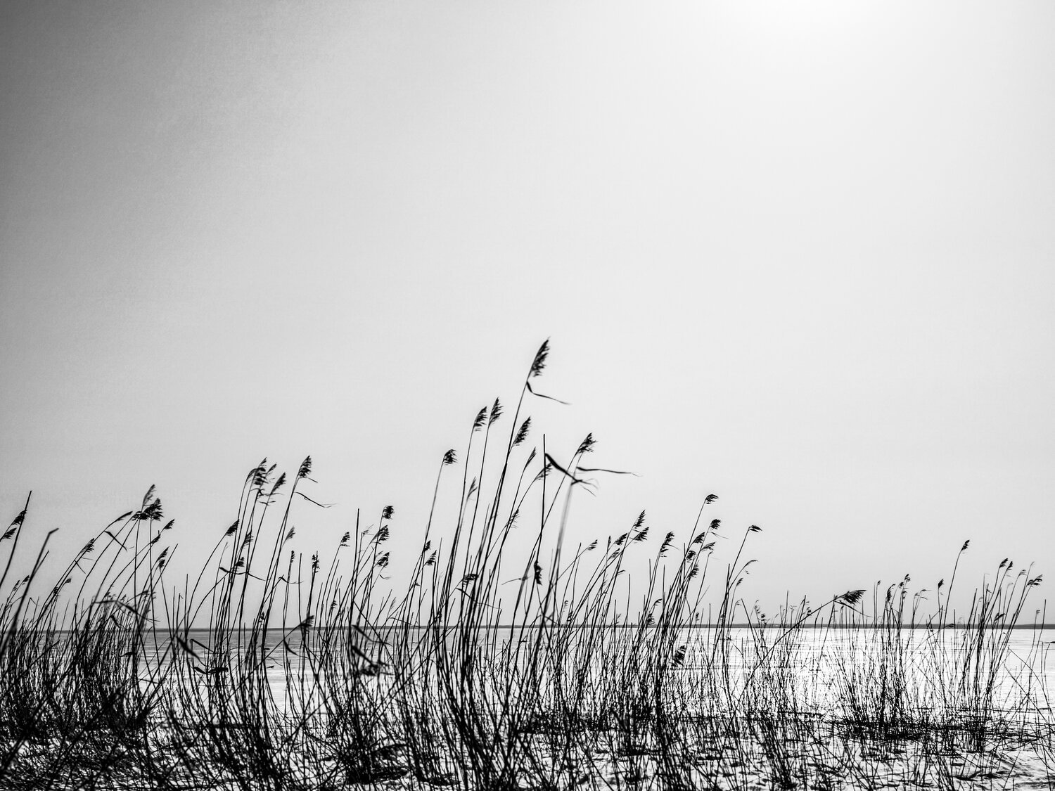 Photo #14143276