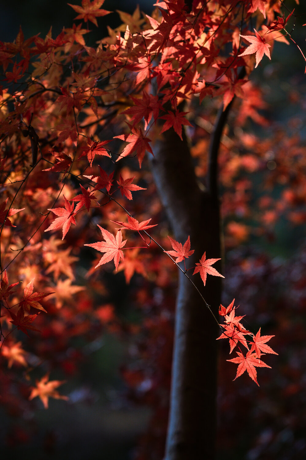 Photo #14143287