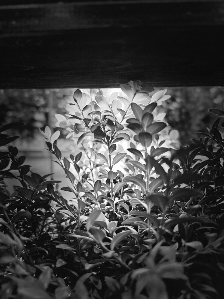 Photo #14143907