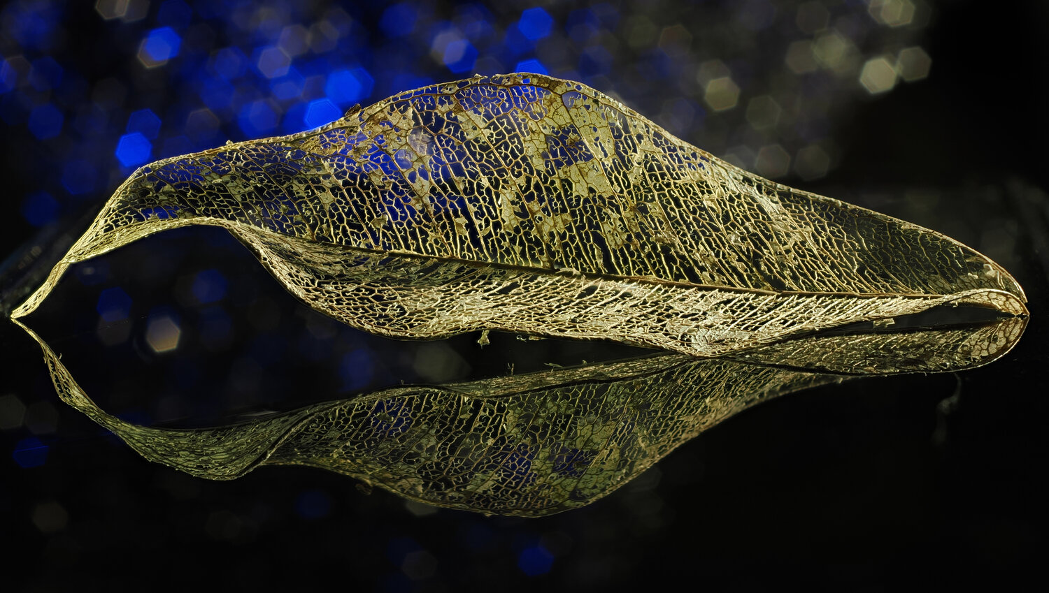Photo #14143964