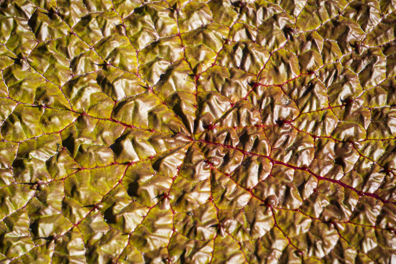 Photo #14143980