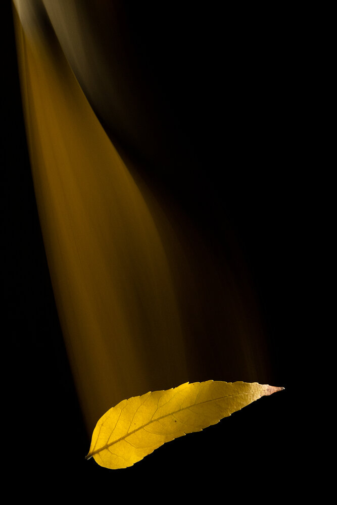 Photograph by Роман Москвичев