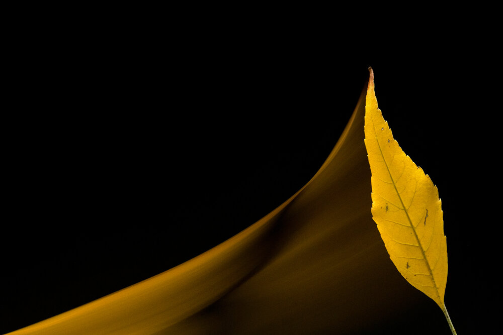 Photograph by Роман Москвичев