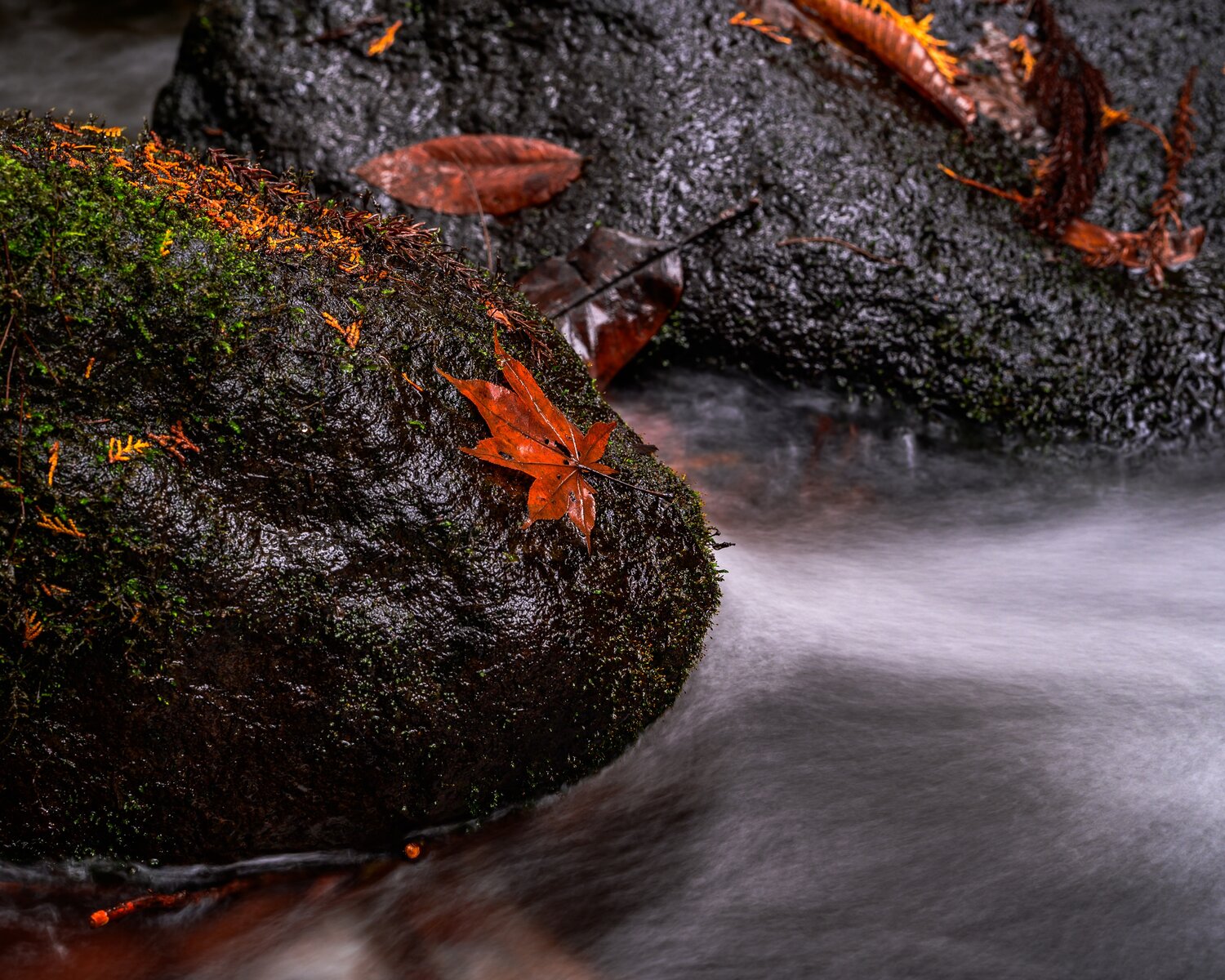 Photo #14144024