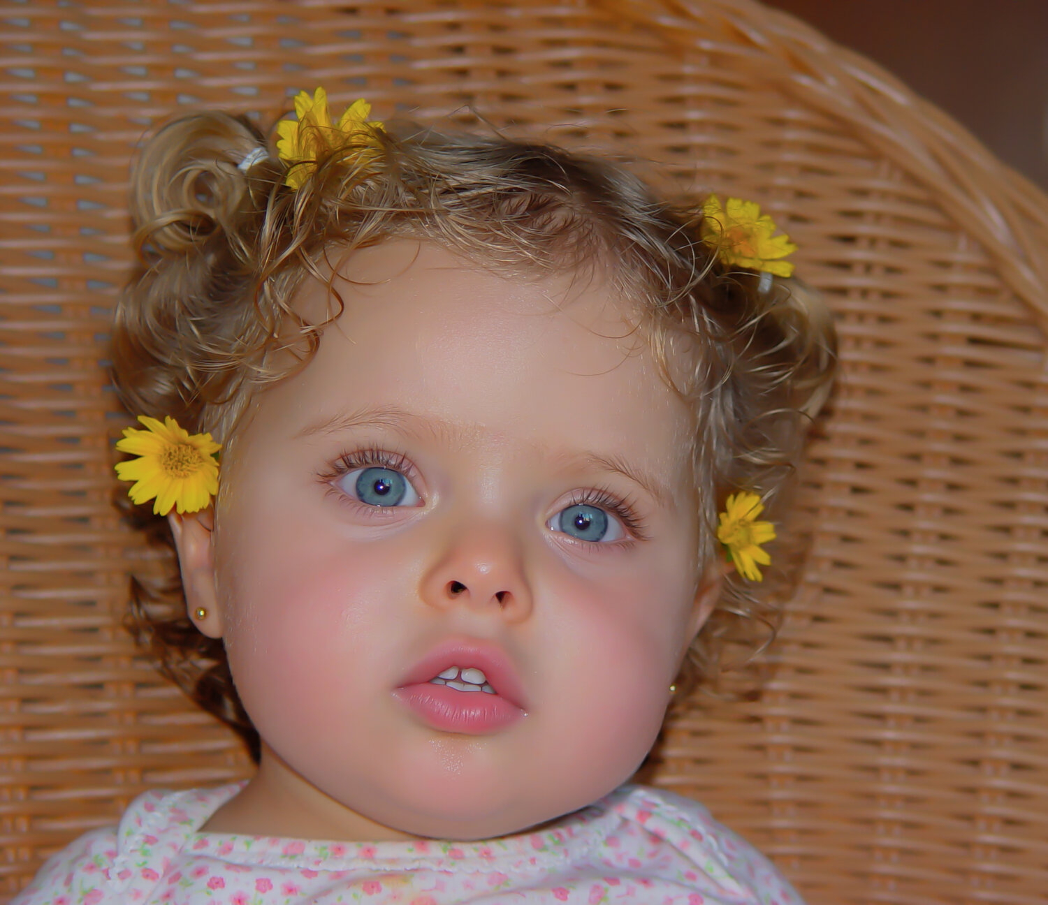 Photo #14144035