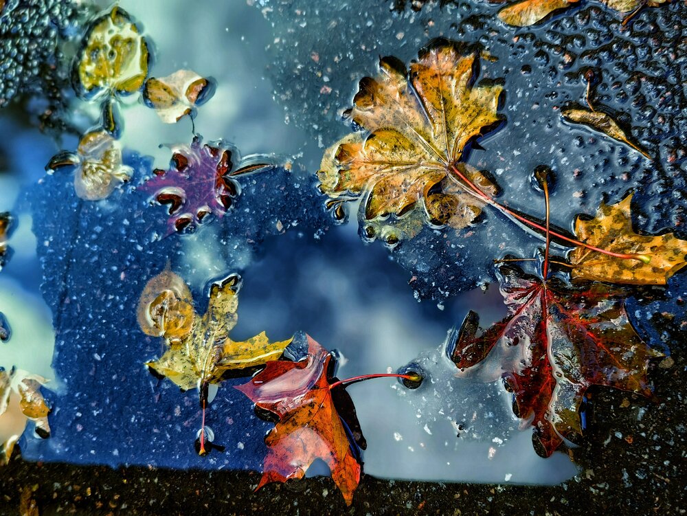 Photograph by Наталья Ионова