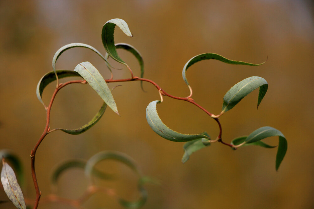 Photograph by Ирина Вассерлауф