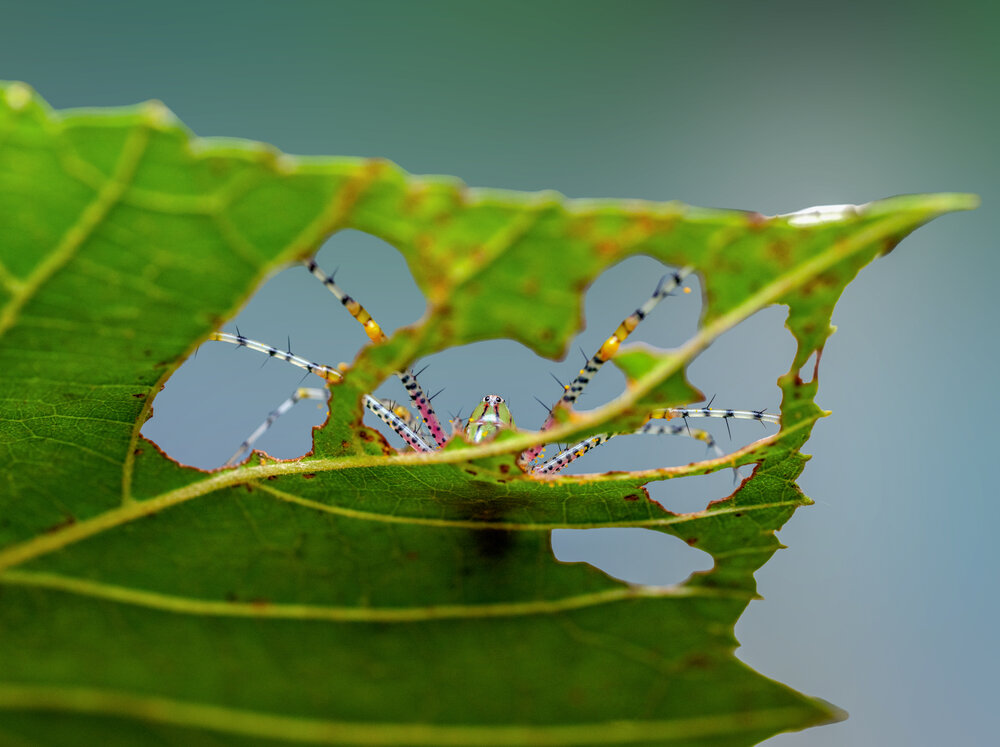 Photograph by Binh Tong