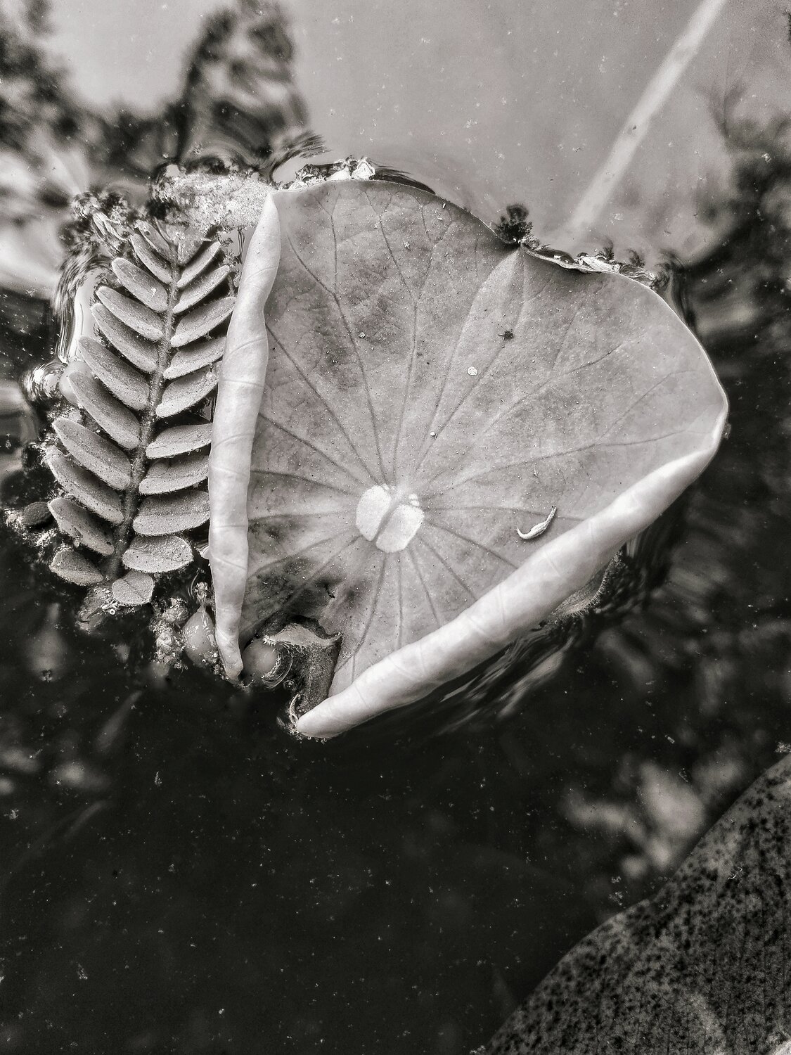 Photo #14144345