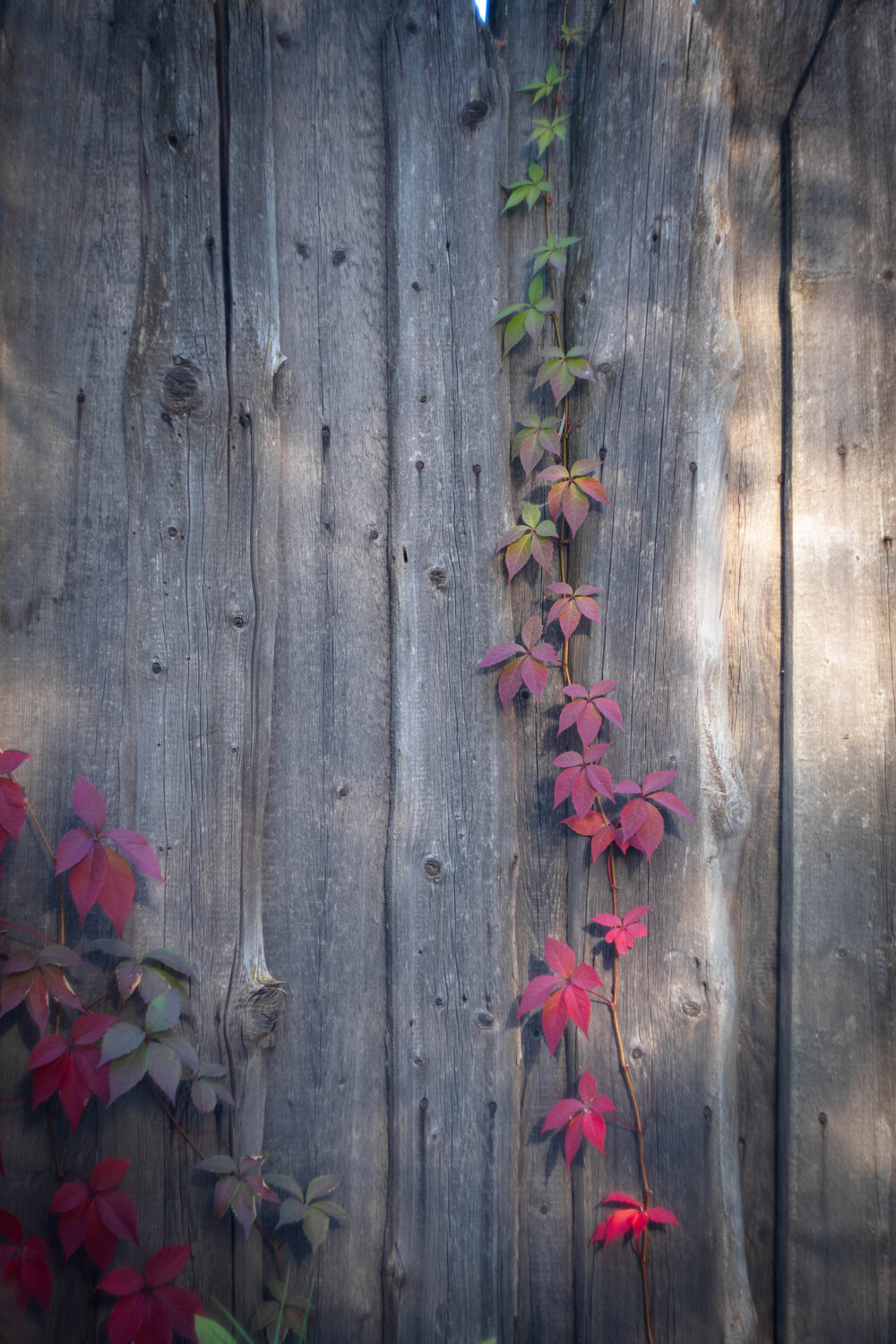 Photo #14144373