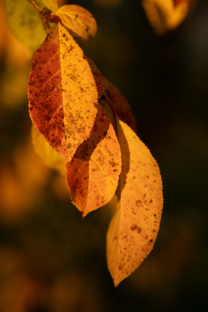 Photograph by Наталья Латыпова