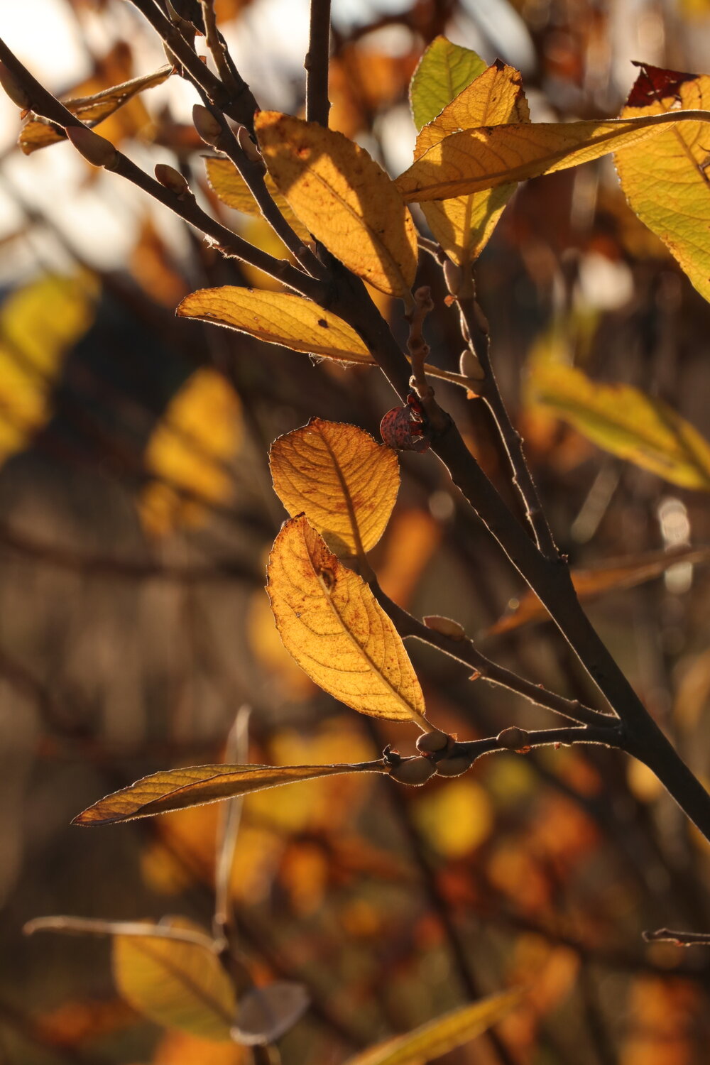Photo #14144583