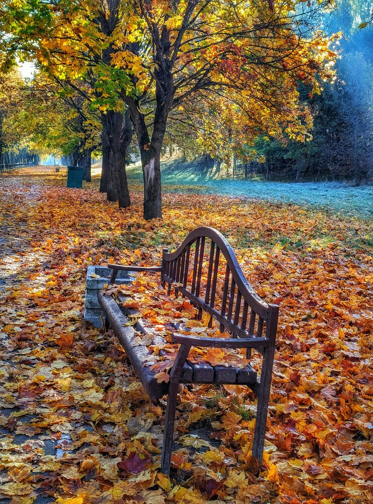 Фотография автора Владимир Шаруба