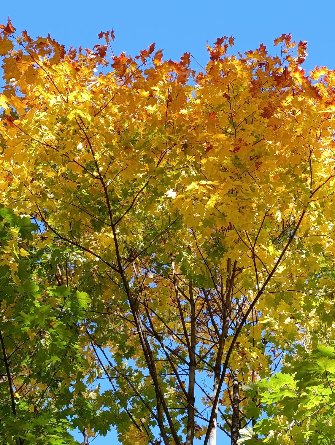 Photo #14144604