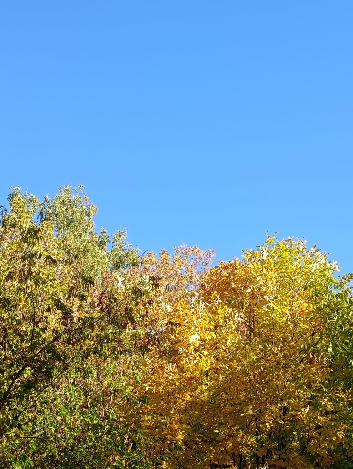 Photo #14144615