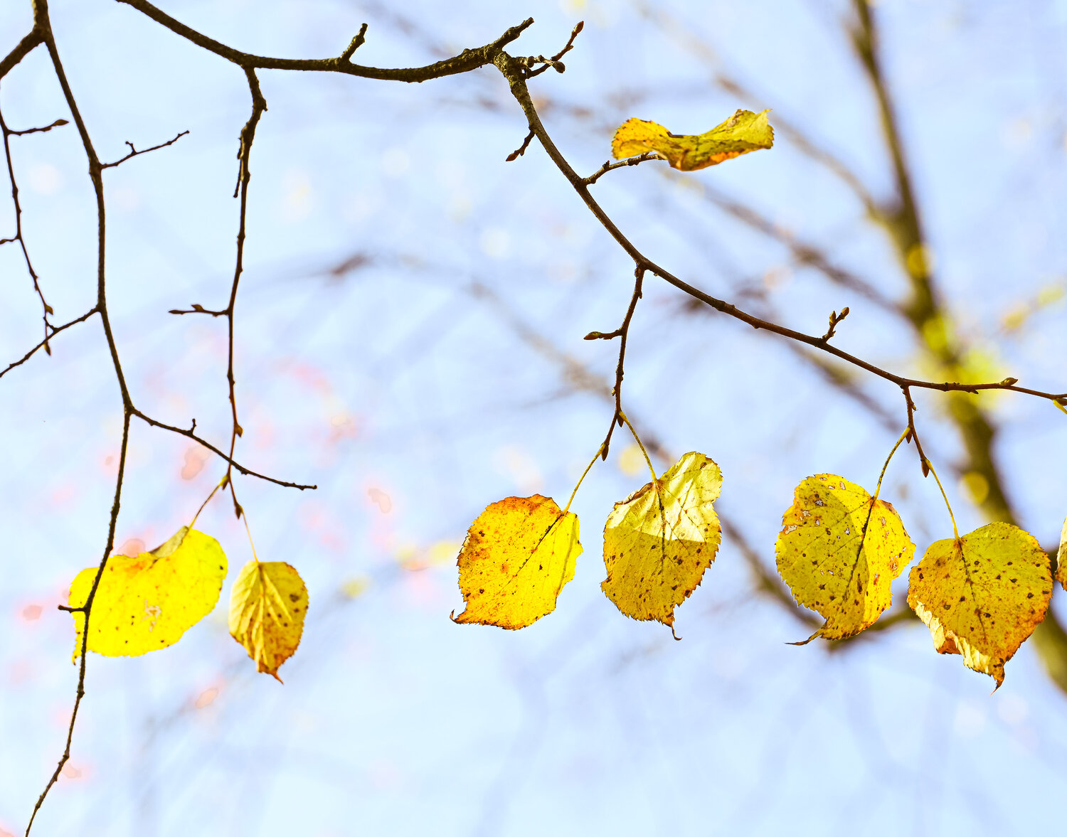 Photo #14144616
