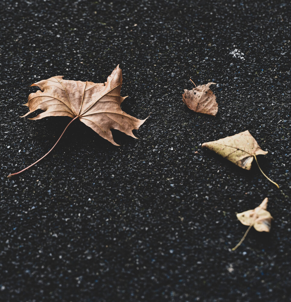 Photograph by Елена Март