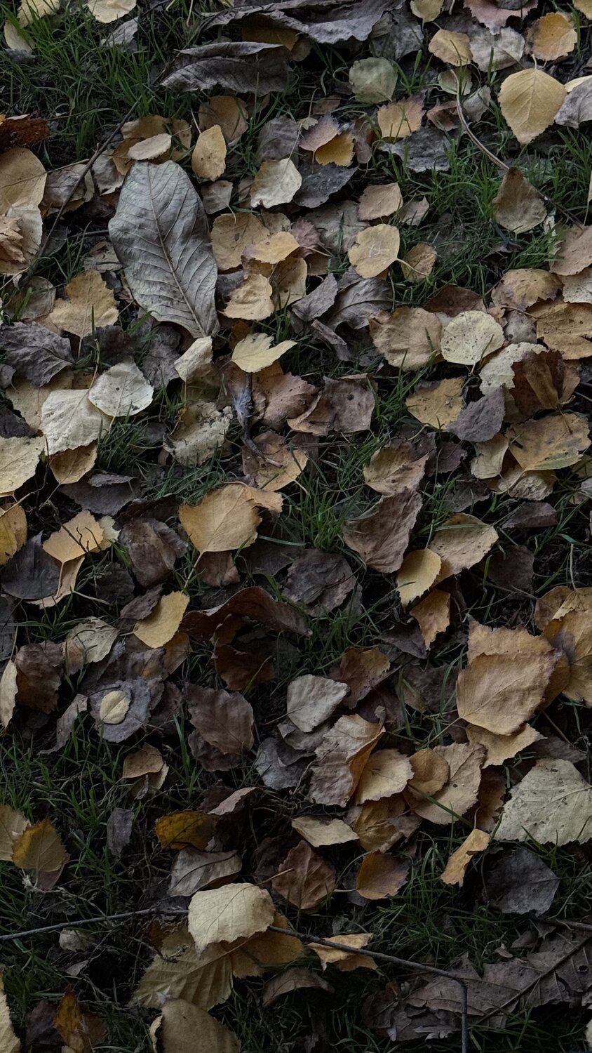 Photo #14144923