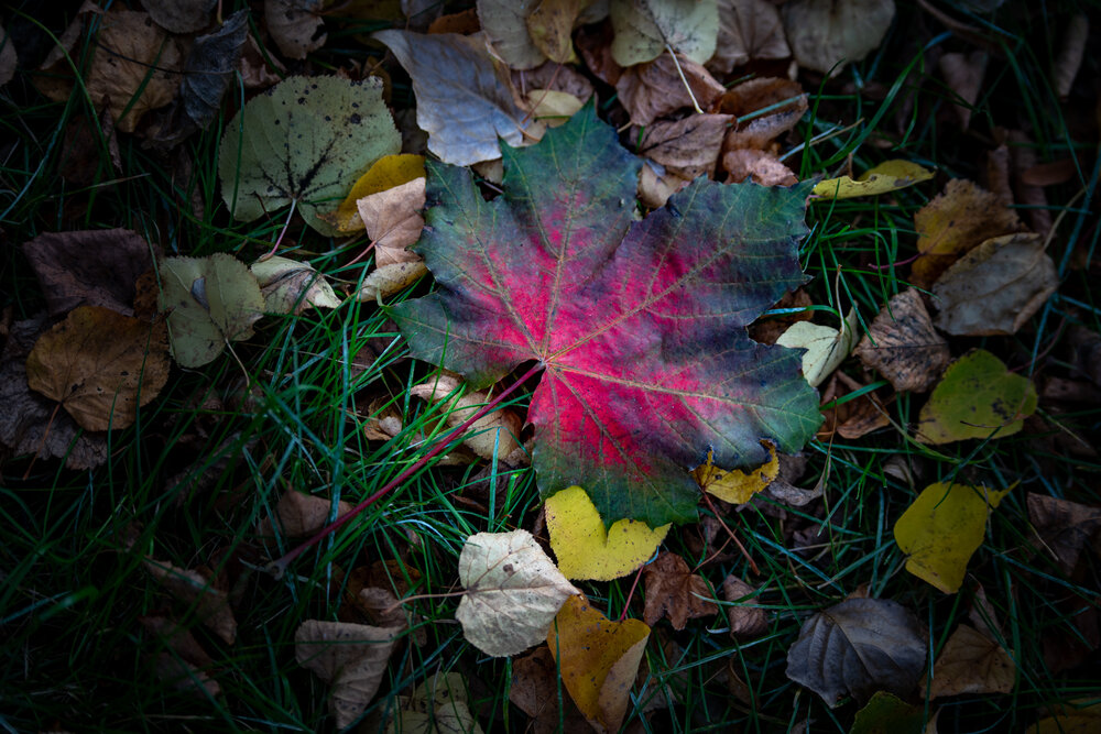 Photograph by Хуршудов Дмитрий