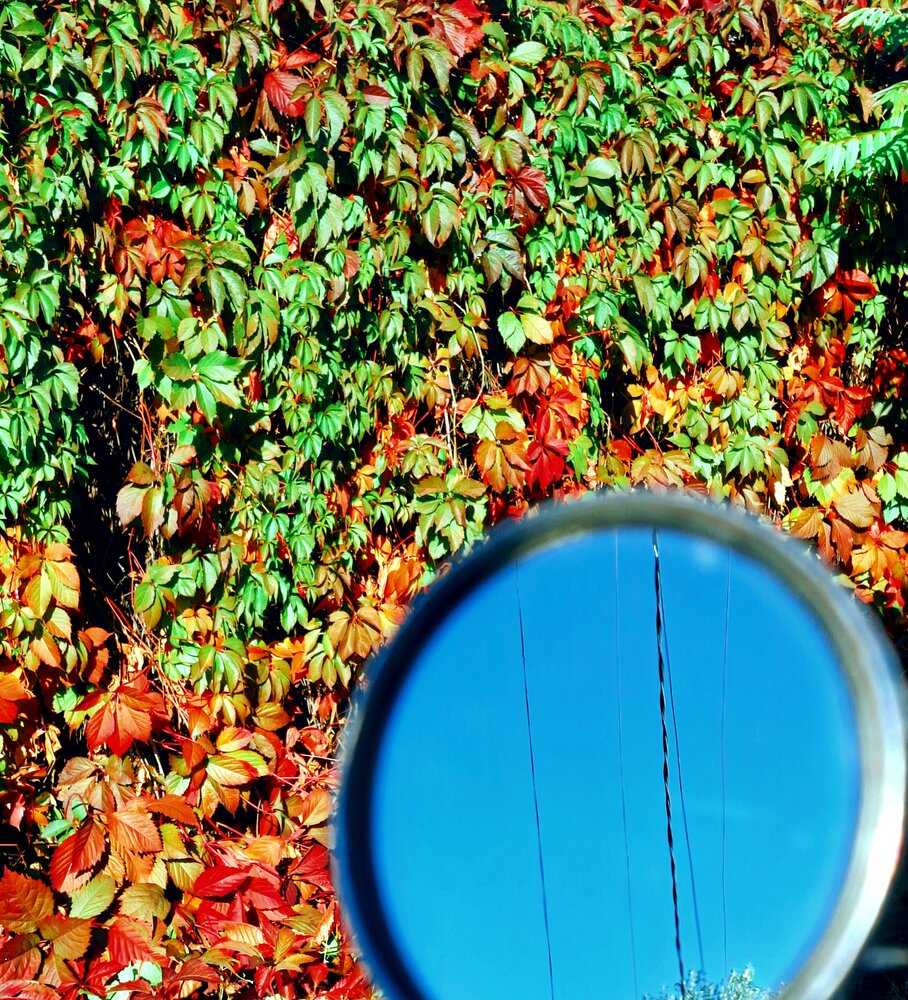 Photograph by Флора Хайбуллина
