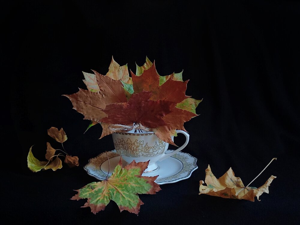 Photograph by Елена Никитина