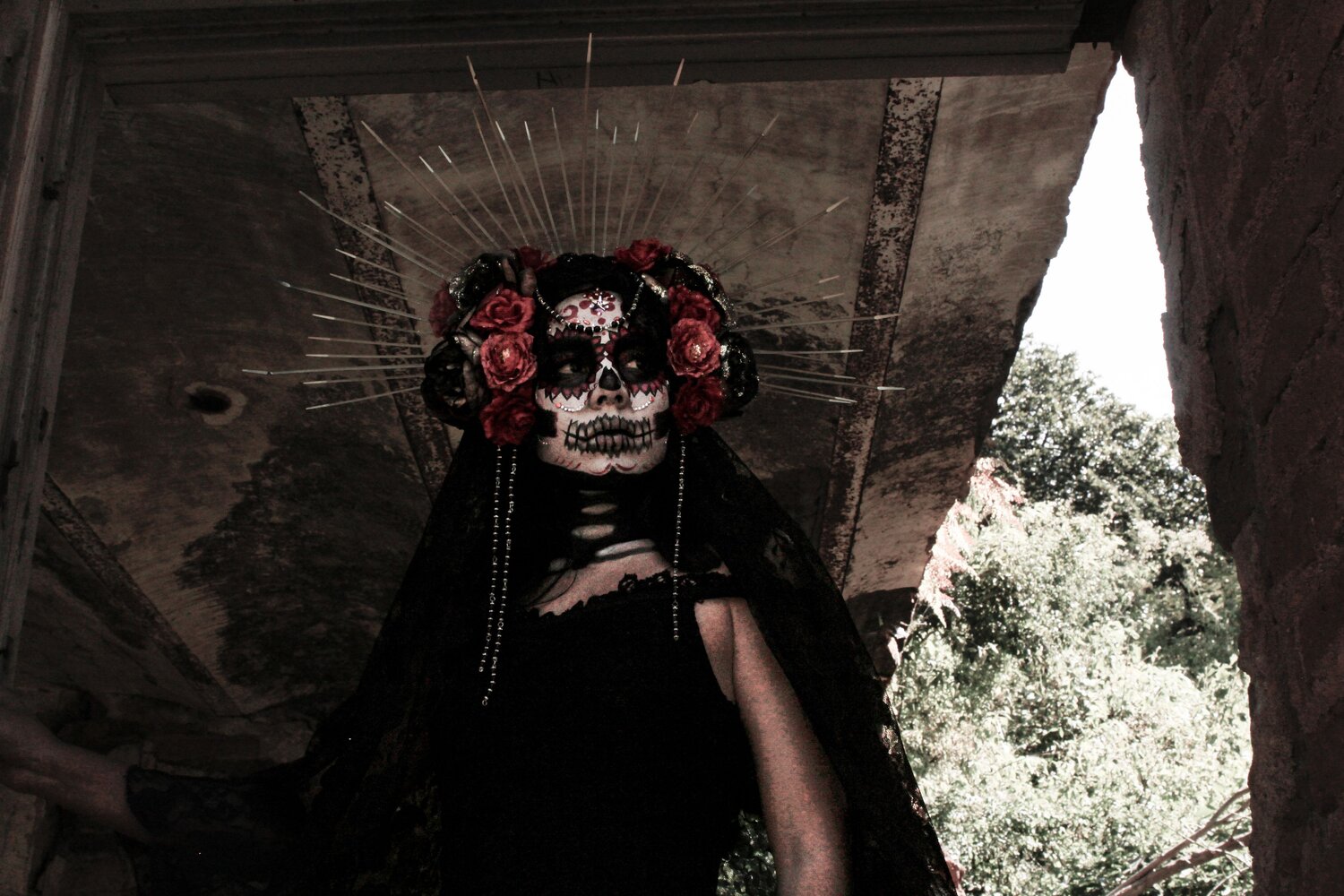 Photo #14145213