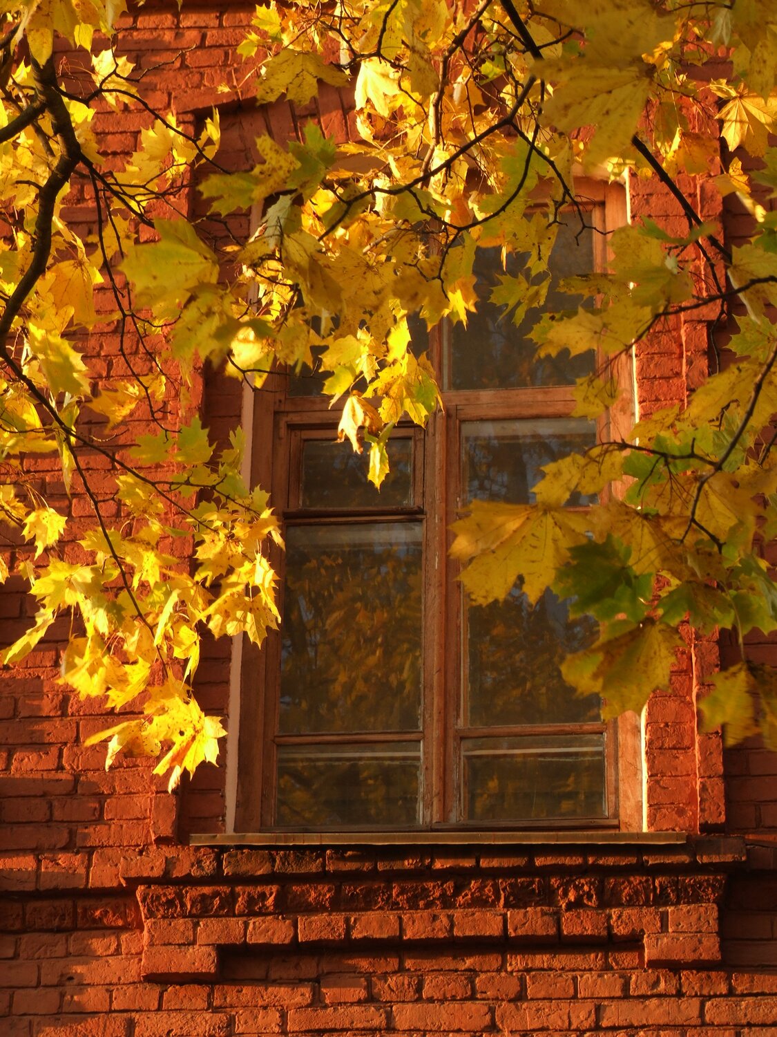 Photo #14145291