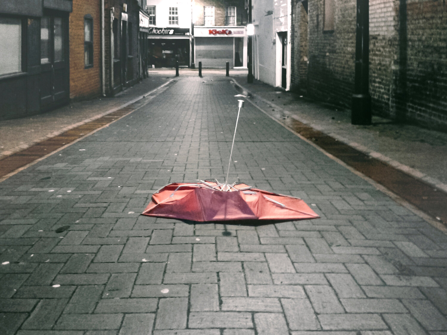 Photo #14145426