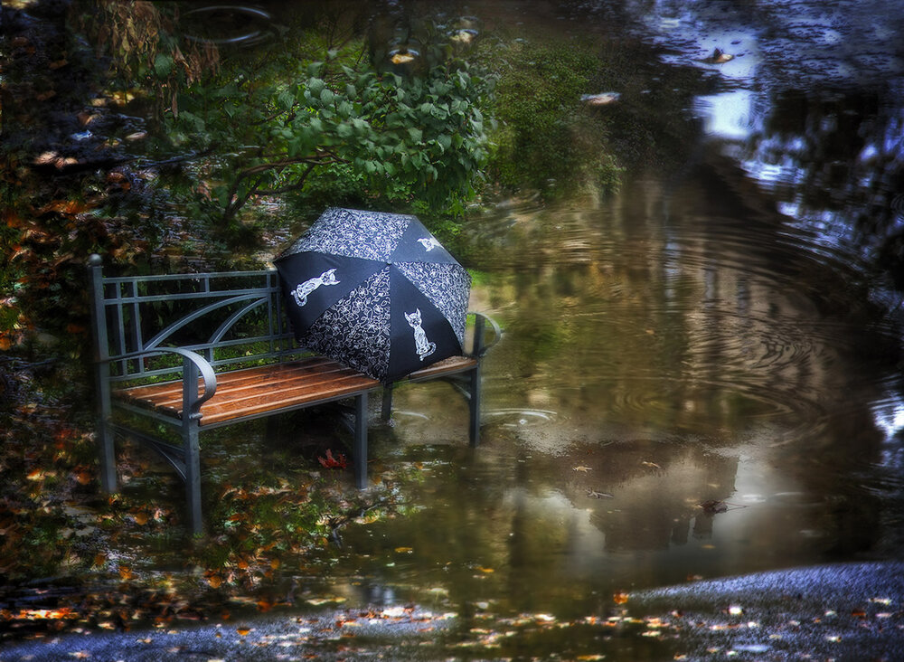 Photograph by Ирина Заколдаева
