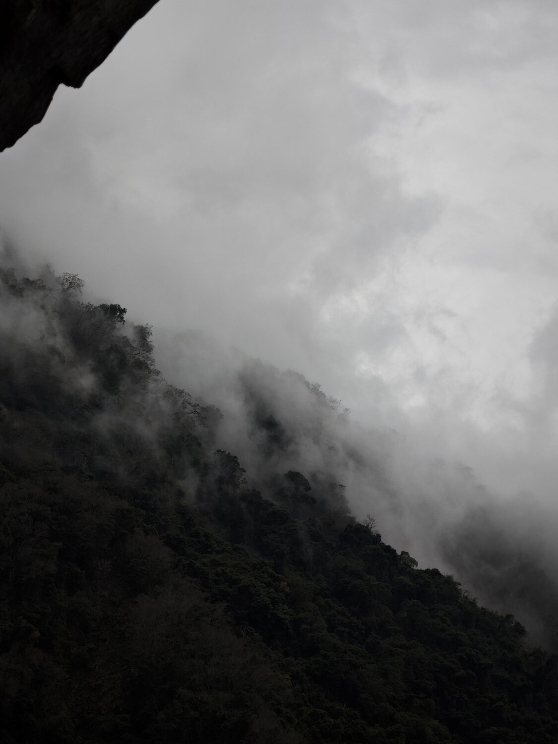 Photo #14145593