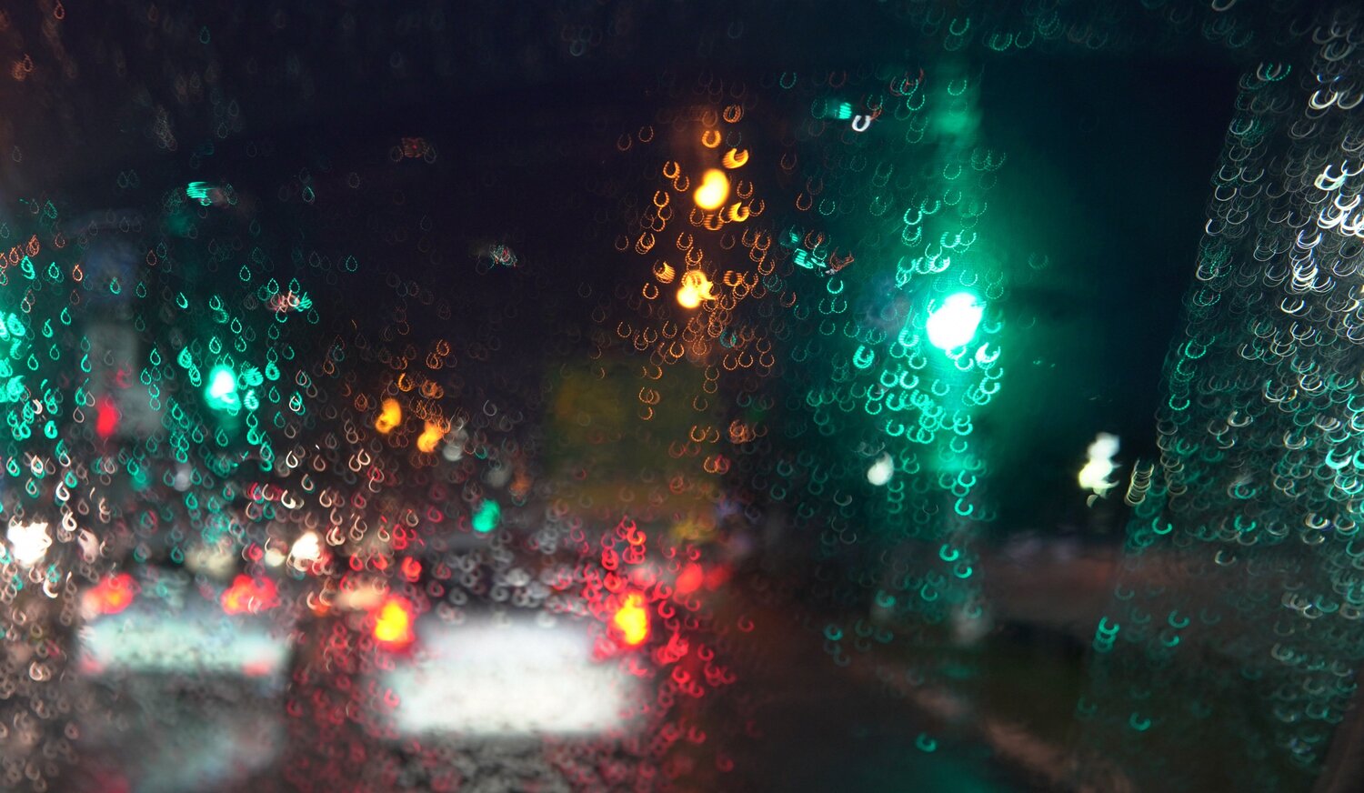 Photo #14145653