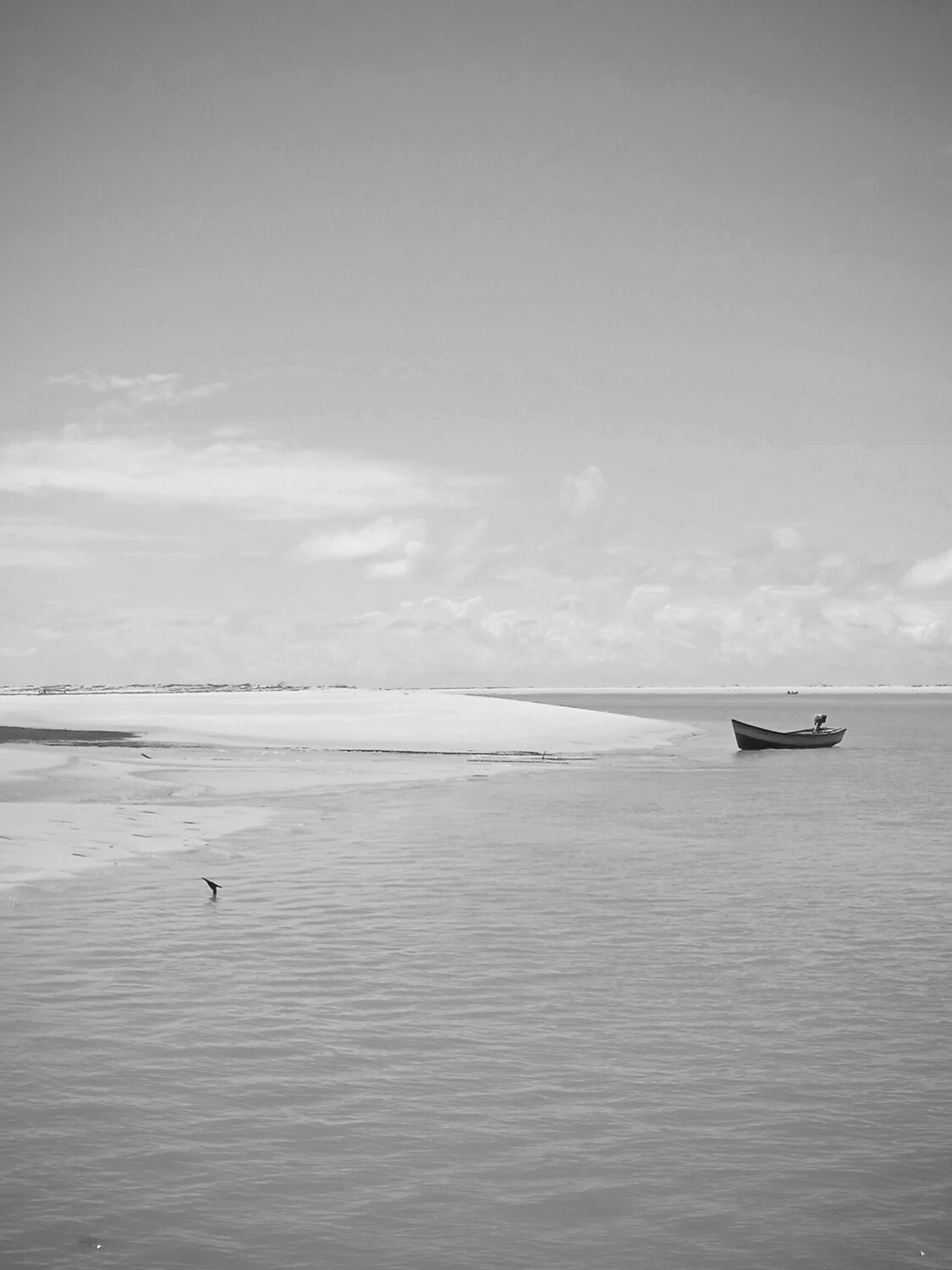 Photo #14145702