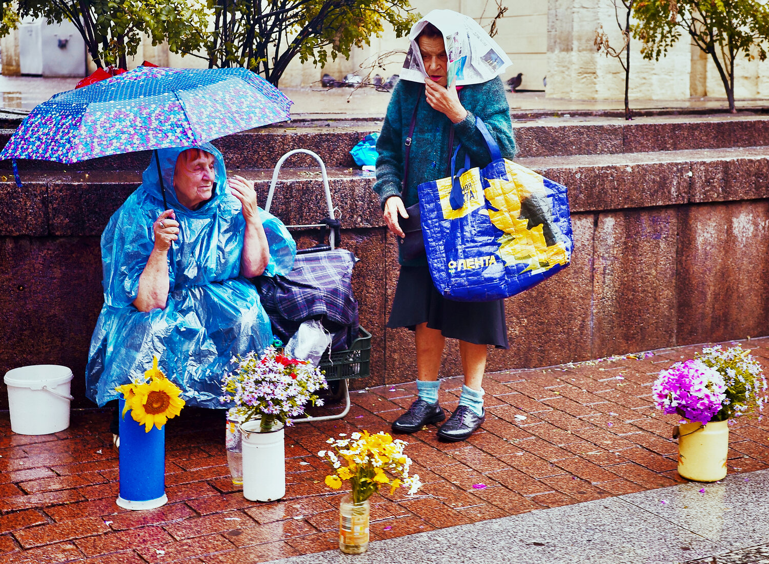 Photo #14145778