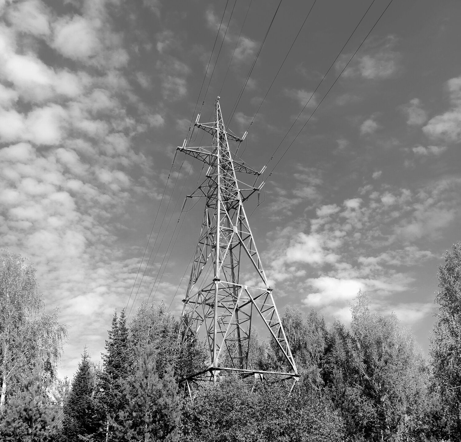 Photo #14145840