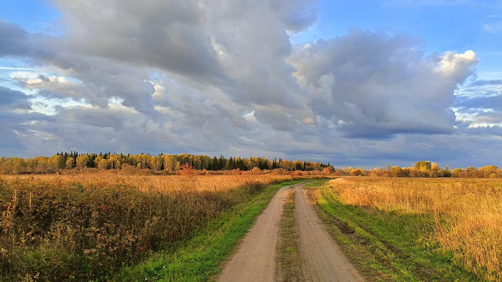 Photograph by Светлана Смирнова (Гридюшко)