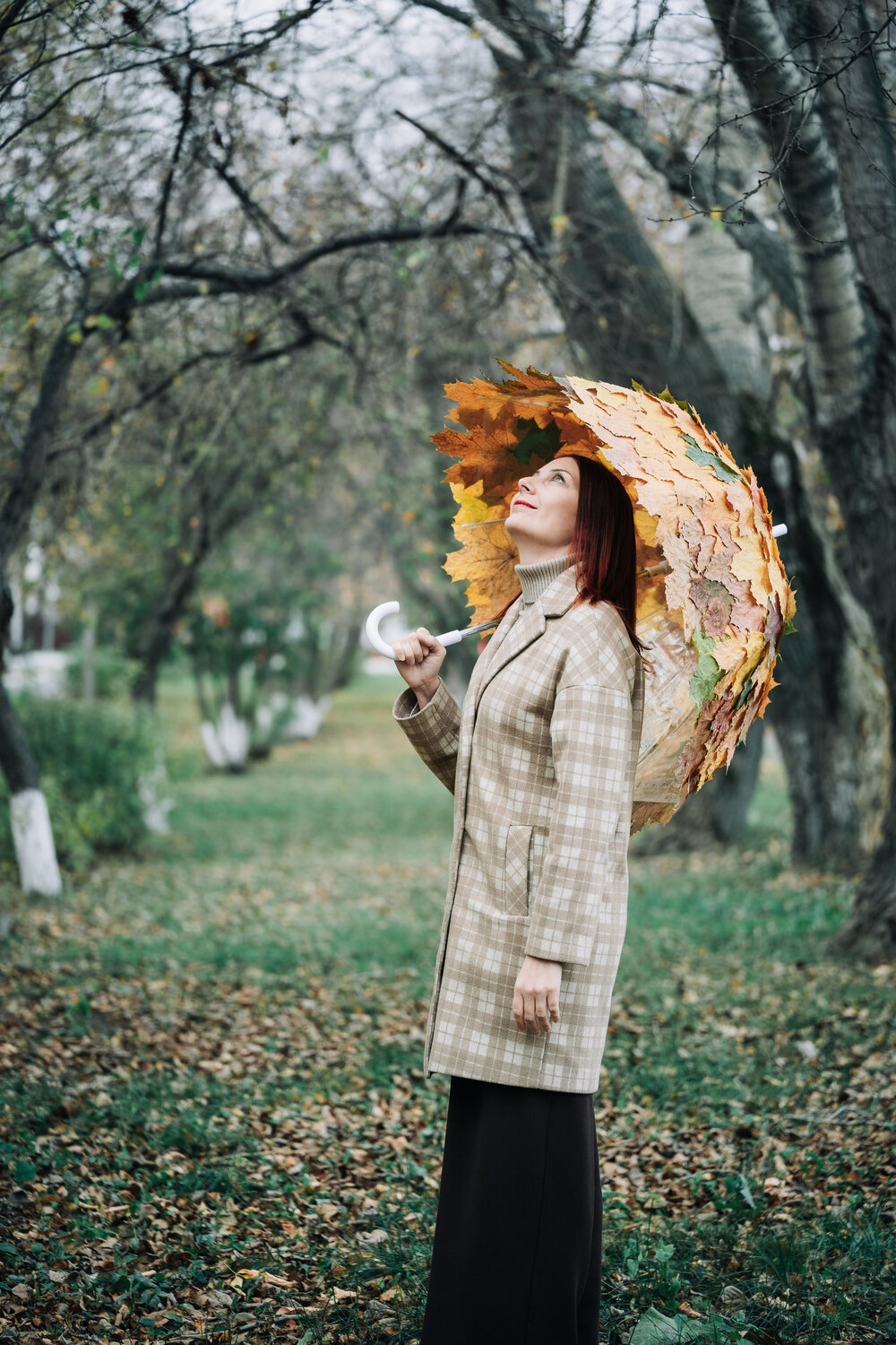 Photo #14146108