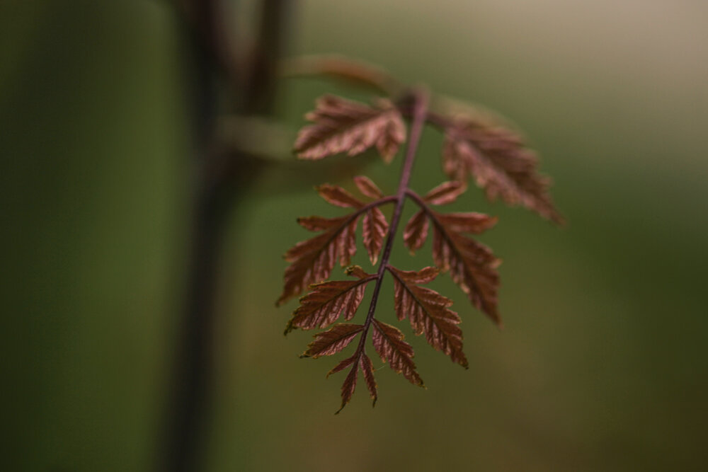 Photograph by Юрий Кульмяков