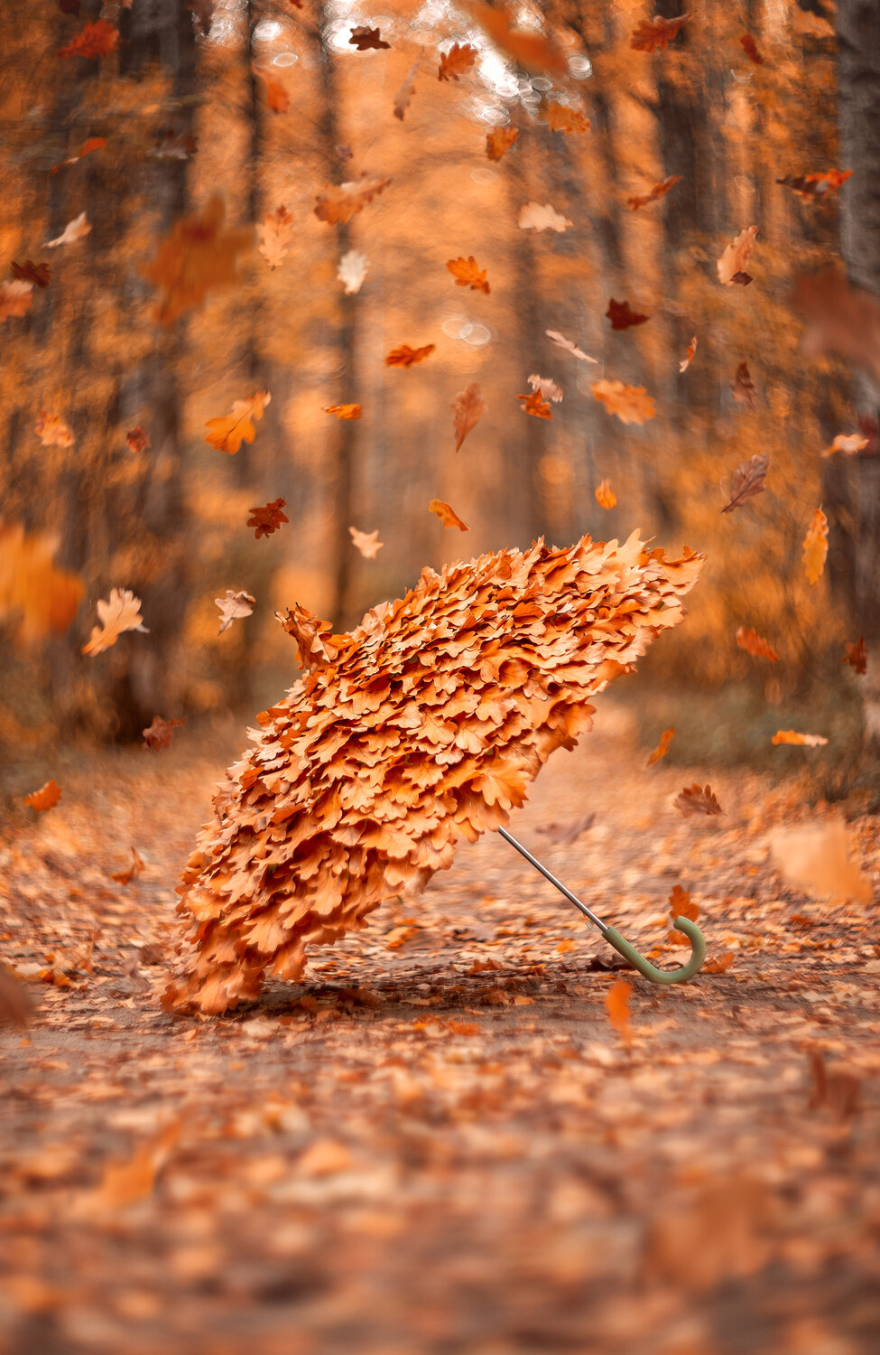 Photo #14146224