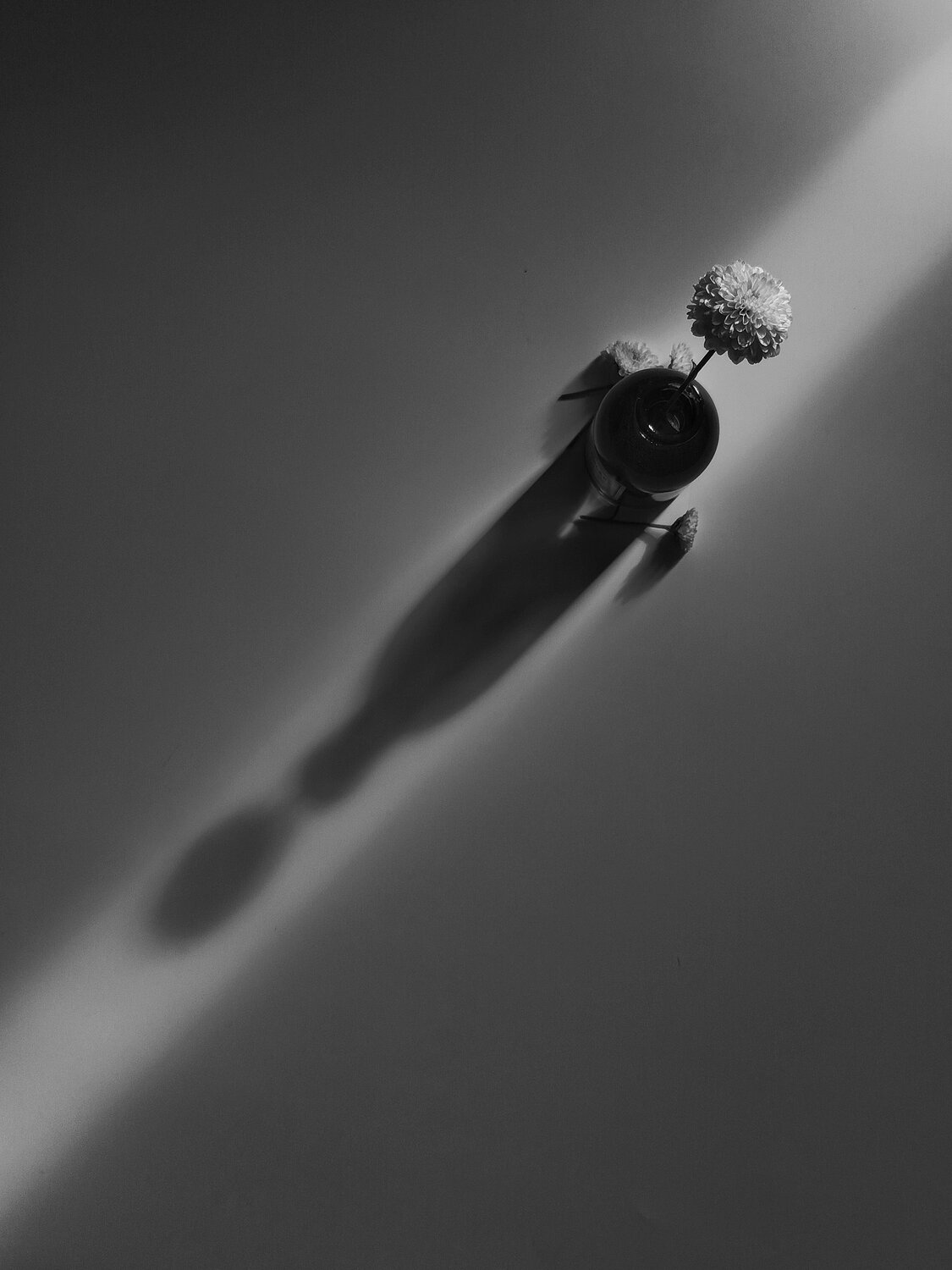 Фотография #14146393
